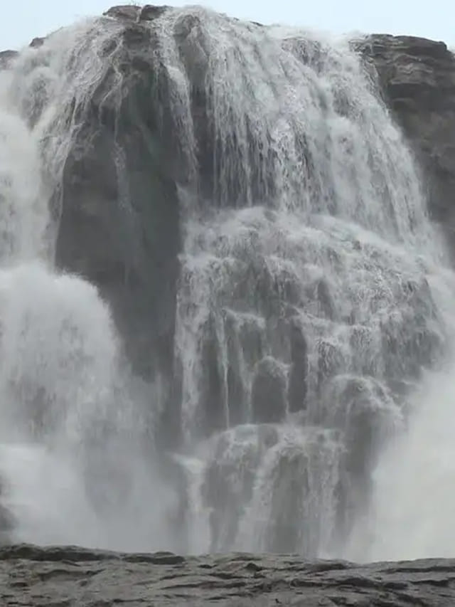 అందాల జలపాతాలు.. టైగర్ సఫారీ.. ఎక్కడో కాదు.. మన ఆదిలాబాద్‌లోనే..