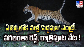అనంతపురంలో సిమ్లా యాపిల్స్ సాగు.. ఇదిగో ఇలా..