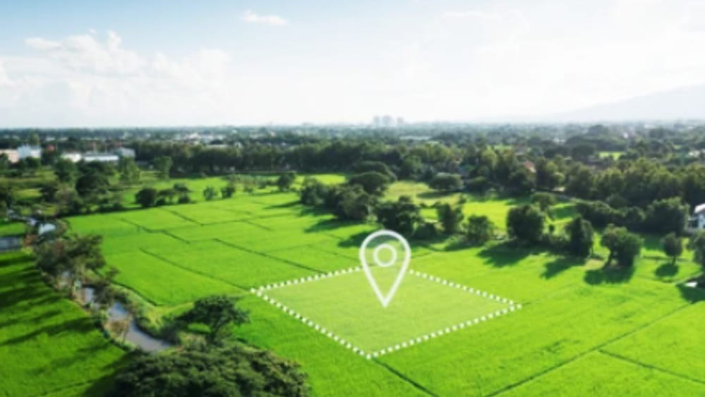 వ్యవసాయ భూమి కొనుగోలు చేసే ముందు ఈ 3 విషయాలు మర్చిపోకండి! లేదంటే నష్టం తప్పదు