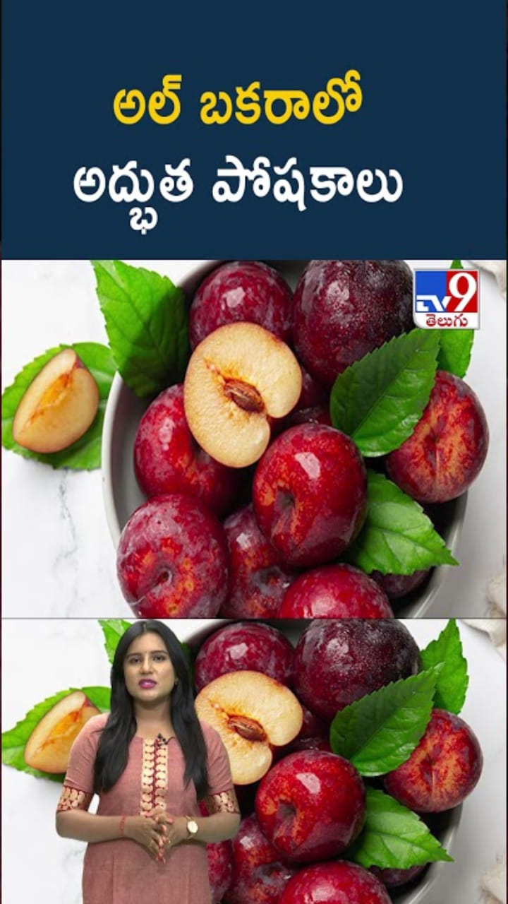 అల్ బకరా ఆరోగ్యానికి సూపర్ ఫుడ్.. తింటే అద్భుత ప్రయోజనాలు