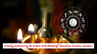 Vastu Tips: మీ బాత్రూంలోని ఓ మూలలో దీన్ని ఉంచండి.. ఆ మ్యాజికల్ పవర్ ఏంటో మీరే చూస్తారు..