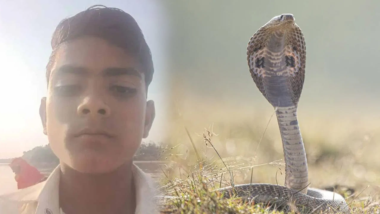 Video: బాలుడికి పాము కరిచిందని మంత్రగాడి దగ్గరికి తీసుకెళ్లారు.. ఆ తర్వాత జరిగింది మీరు ఊహించలేరు.. వీడియో వైరల్..