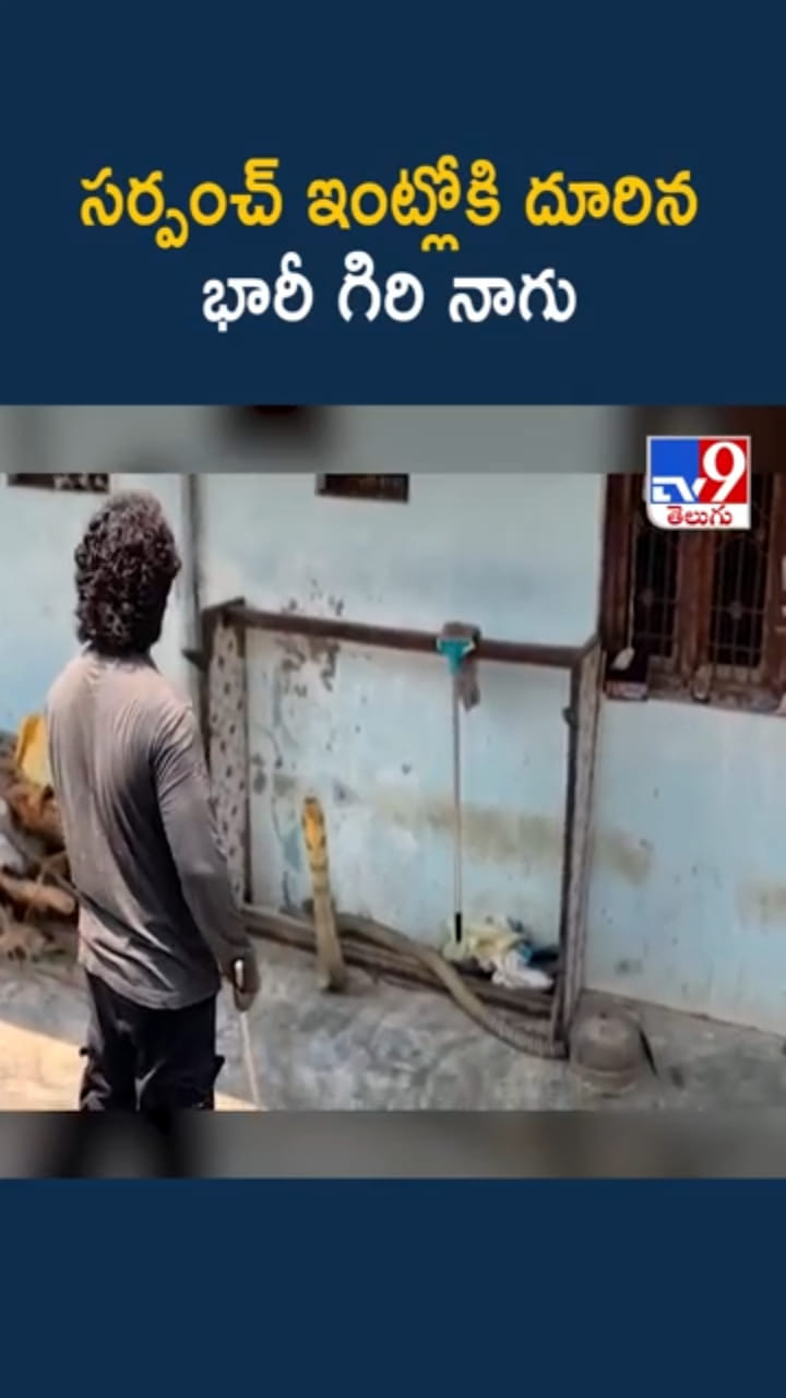 వామ్మో.. స్నేక్ క్యాచర్‌కు చెమటలు పట్టించిన భారీ గిరినాగు