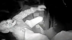 రాత్రి షాపు సీసీ టీవీ చెక్ చేసిన వ్యాపారి.. ఒక్కసారిగా షాక్