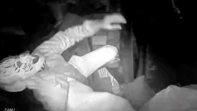 రాత్రి షాపు సీసీ టీవీ చెక్ చేసిన వ్యాపారి.. ఒక్కసారిగా షాక్