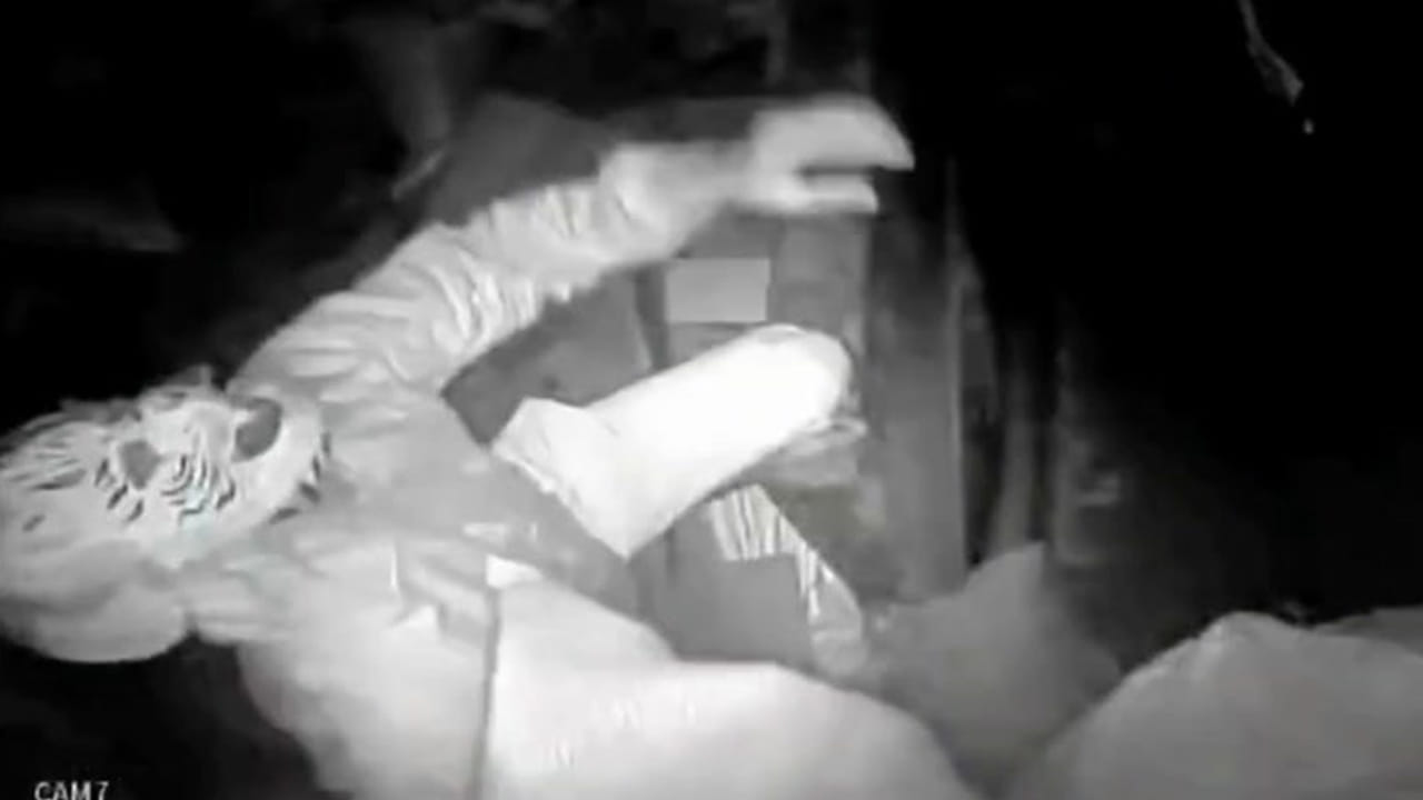 Andhra: ఓరి.. ఓరి.. రాత్రి షాపులో ఎవరా జీవి.. అసలు కథ ఏందంటే..?