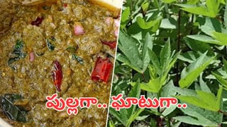 Fan Cleaning Tips: నిచ్చెన అవసరం లేకుండానే సీలింగ్ ఫ్యాన్ క్లీనింగ్.. నిమిషాల్లో మురికిని వదిలించే స్మార్ట్ హ్యాక్స్ ఇవే..!