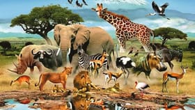 కళ్లు మూసుకున్నా చూడగలవు.. ఈ జీవుల సూపర్ పవర్స్ గురించి తెలిస్తే