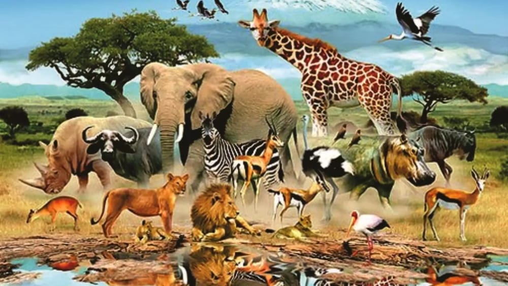 Viral News: కళ్లు మూసుకున్నా చూడగలవు.. ఈ జీవుల సూపర్ పవర్స్ గురించి తెలిస్తే..