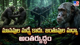 మానవుల మధ్యే కాదు.. జంతువుల మధ్యా అంతర్యుద్ధం