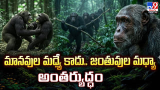 ఆకలితో చిన్నారులుంటే.. 11,000 లీటర్ల పాలను నదిలో వదిలారు