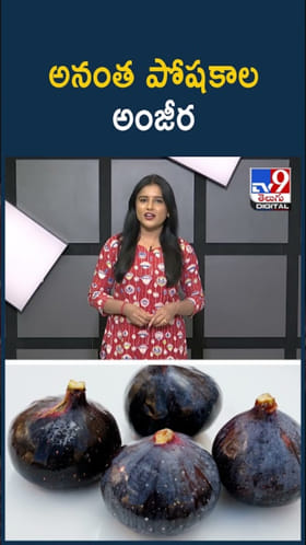 Fig Benefits: అనంత పోషకాల అంజీర.. అన్‌లిమిటెడ్ హెల్త్ బెనిఫిట్స్