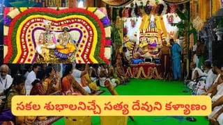 Mohini Ekadashi: ఈ రాశుల వారు ఈ దానం చేస్తే ఆర్థిక కష్టాలకు గుడ్‌బై!