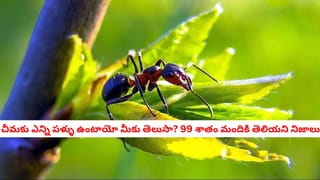 Medical Terminology: డాక్టర్ ప్రిస్క్రిప్షన్‌పై ఉండే Rx, Dx, Tx అంటే ఏంటి? ప్రతి ఒక్కరూ తెలుసుకోవాలి!
