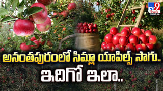 టైటిల్.. అంత మ్యాజిక్ చేస్తుందా?