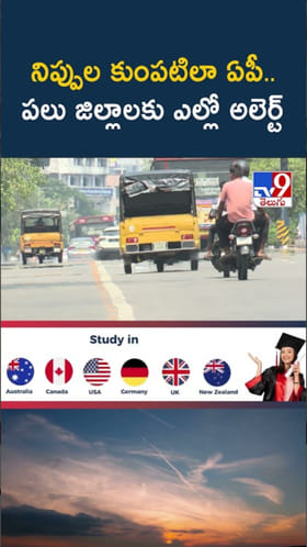 AP Heatwave Alert: నిప్పుల కుంపటిలా ఏపీ.. పలు జిల్లాలకు ఎల్లో అలెర్ట్