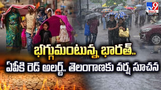 Telangana: సత్తుపల్లి అడవుల్లో ‘వైల్డ్’ లైఫ్ సందడి.. ట్రాప్ కెమెరాల్లో అద్భుత దృశ్యాలు..!