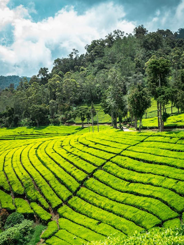 అరకు ట్రిప్ ప్లాన్ చేస్తున్నారా? ఐఆర్‌సీటీసీ బంపర్ ఆఫర్ మిస్ అవ్వొద్దు!