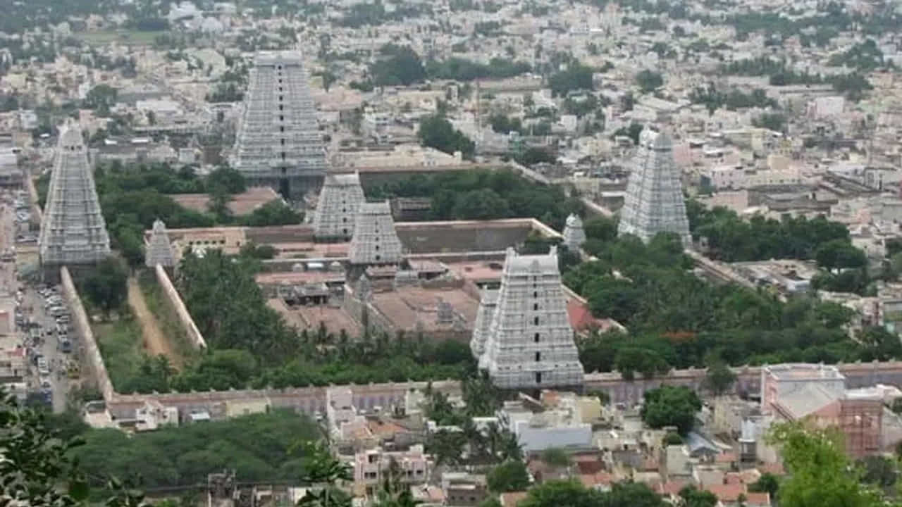రెండో రోజు పర్యాటకులు తిరువణ్ణామలై చేరుకుంటారు. అదే రోజున అరుణాచలేశ్వర ఆలయ దర్శనం చేసుకున్న తర్వాత  రామేశ్వరానికి బయలుదేరుతారు. 