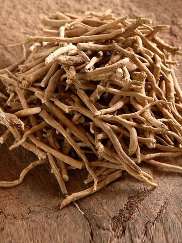 ఈ ఆయుర్వేద మూలికపై అకస్మాత్తుగా నిషేధం ఎందుకు?