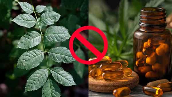 ఆయుర్వేద ప్రియులు అలర్ట్..! అశ్వగంధ ఆకులతో కాలేయానికి ముప్పు.. వాడకంపై సర్కార్ నిషేధం!