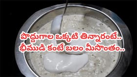 మన పూర్వీకుల టిఫీన్ ఇదే.. ఒక్కటి తింటే చాలు..