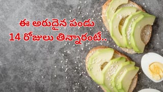 ఎప్పుడూ పాత పద్దతేనా.. షాహీ చికెన్ కుర్మా ఇలా ట్రై చేయండి.. దెబ్బకు గిన్నె ఊడ్చాల్సిందే