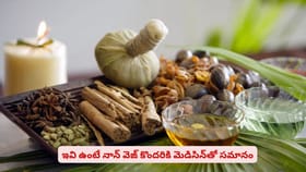 వీళ్లకి మాంసాహారం మెడిసిన్‌తో సమానం