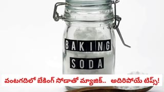 Tulsi Plant: తులసి చెట్టుకు ఈ మిశ్రమాన్ని పోస్టే చాలు.. మండే ఎండలోనూ పచ్చగా ఎదుగుతుంది.. బెస్ట్‌ ట్రిక్స్‌..!