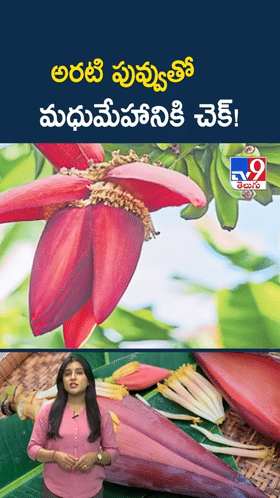 Banana Flower: అరటి పువ్వుతో మధుమేహానికి చెక్..!