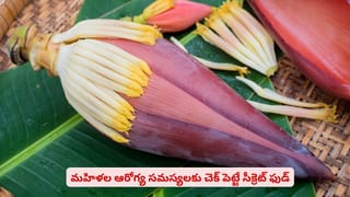 Ancient Summer Secrets: ఏసీలు, కూలర్లు లేని కాలంలో.. రాజులు వేడిని తట్టుకోవడానికి ఏం చేసేవారో తెలుసా?