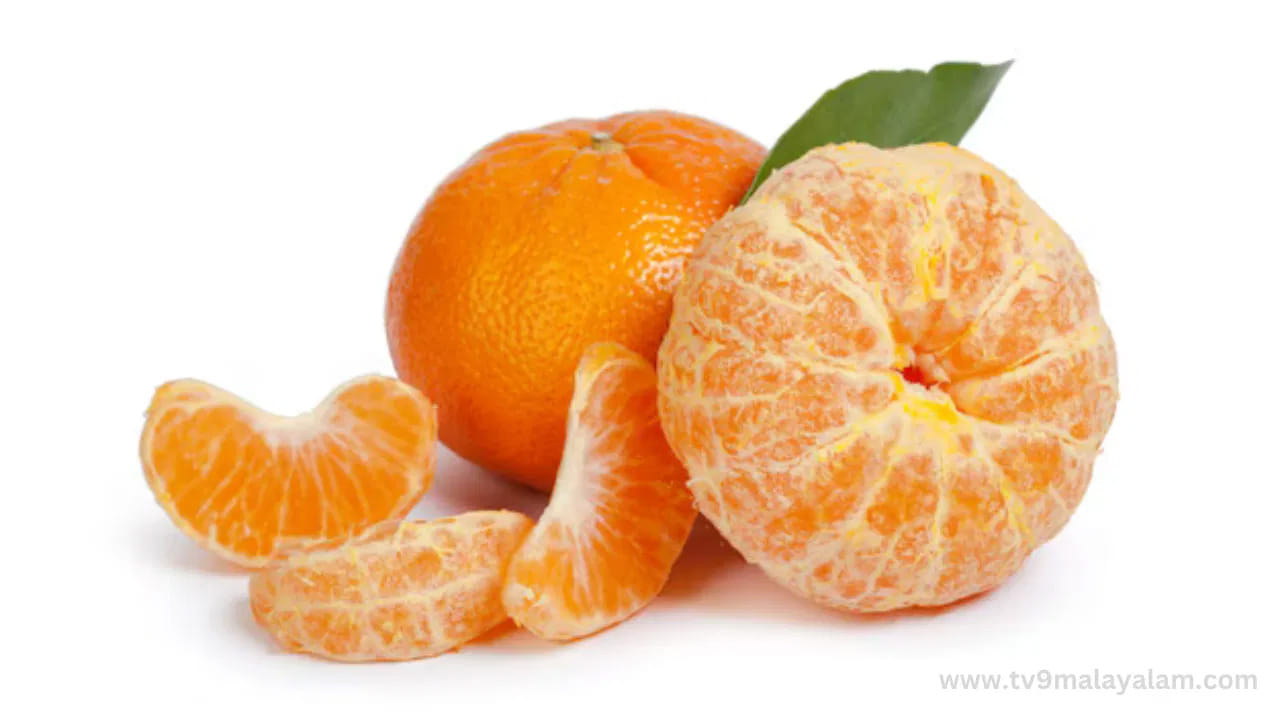 ఎసిడిటీ ముప్పు: నారింజలో ఆమ్ల గుణం ఎక్కువగా ఉంటుంది. కాబట్టి గ్యాస్ట్రిక్ లేదా ఎసిడిటీ సమస్యలు ఉన్నవారు ఖాళీ కడుపుతో నారింజ లేదా దాని రసాన్ని తీసుకోకపోవడమే మంచిది. అల్పాహారం పూర్తిగా తిన్న తర్వాత నారింజ పండును తీసుకోవడం ఆరోగ్యకరం.
