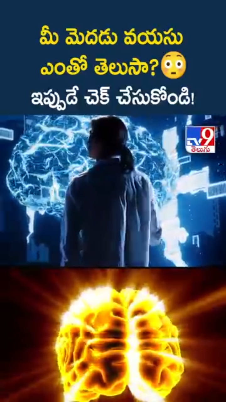 Brain Age: మీ మెదడు వయసు ఎంతో తెలుసా..? చెక్ చేసుకోండి