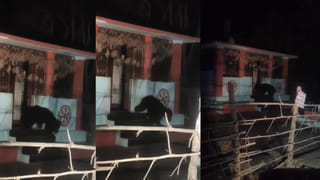 వెంకన్న స్వామికి బంగారు పూతరేకులు సమర్పించిన భక్తుడు!