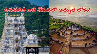 పురాతన తవ్వకాల్లో మెరుస్తూ కనిపించింది.. ఏంటా అని వెలికితీయగా కళ్ళు జిగేల్