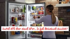 సింగిల్ డోర్ లేదా డబల్ డోరా.. ఏ ఫ్రిజ్ తీసుకుంటే మంచిది?