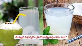 ఇంట్లో ఈ దిశలో పొరపాటున కూడా చెత్త వేయకండి.. దరిద్రం దశావతారం ఆడుతుంది..