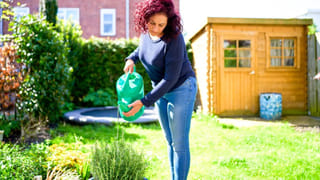 ఉదయం Vs సాయంత్రం.. మొక్కలకు నీళ్లు ఎప్పుడు పోయాలి..? ఈ తప్పులు అస్సలు చేయకండి..