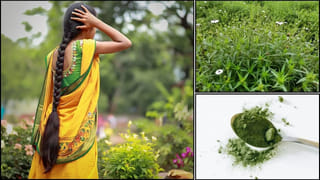 నిద్రలేవగానే బెడ్ షీట్లు వెంటనే మడతపెట్టేస్తున్నారా..? ఆగండి..ముందు ఈ విషయం తెలుసుకోండి!