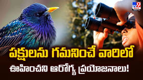 పక్షులను గమనించే వారిలో.. ఊహించని ఆరోగ్య ప్రయోజనాలు!