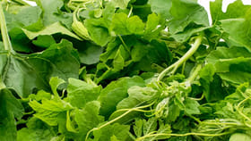 వామ్మో.. ఈ కూరగాయ మొక్క వల్లే భార్యాభర్తలు విడిపోతున్నారా?