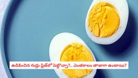 ఉడికించిన గుడ్లు ఫ్రిజ్‌లో పెట్టొచ్చా?.. ఎంతకాలం తాజాగా ఉంటాయి?
