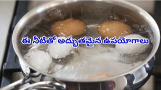 fish gravy: చేపల పులుసు ఎన్ని రోజులు తినొచ్చు? ఎక్కువ రోజులు నిల్వ ఉండాలంటే ఈ చిట్కాలు పాటించండి!
