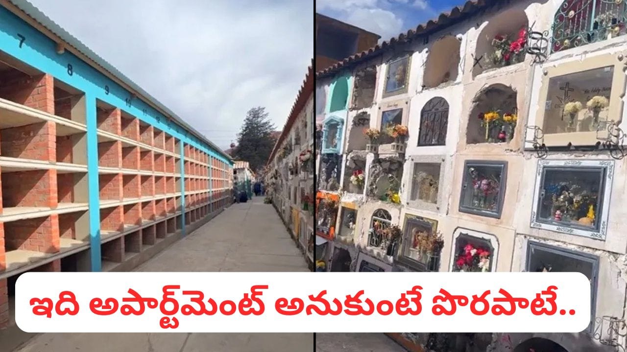 అక్కడ మరణం తర్వాత నరకమే.. అద్దె కట్టకపోతే సమాధి నుంచి శవాన్ని తీసి పడేస్తారు.. ఎక్కడో తెలుసా..?