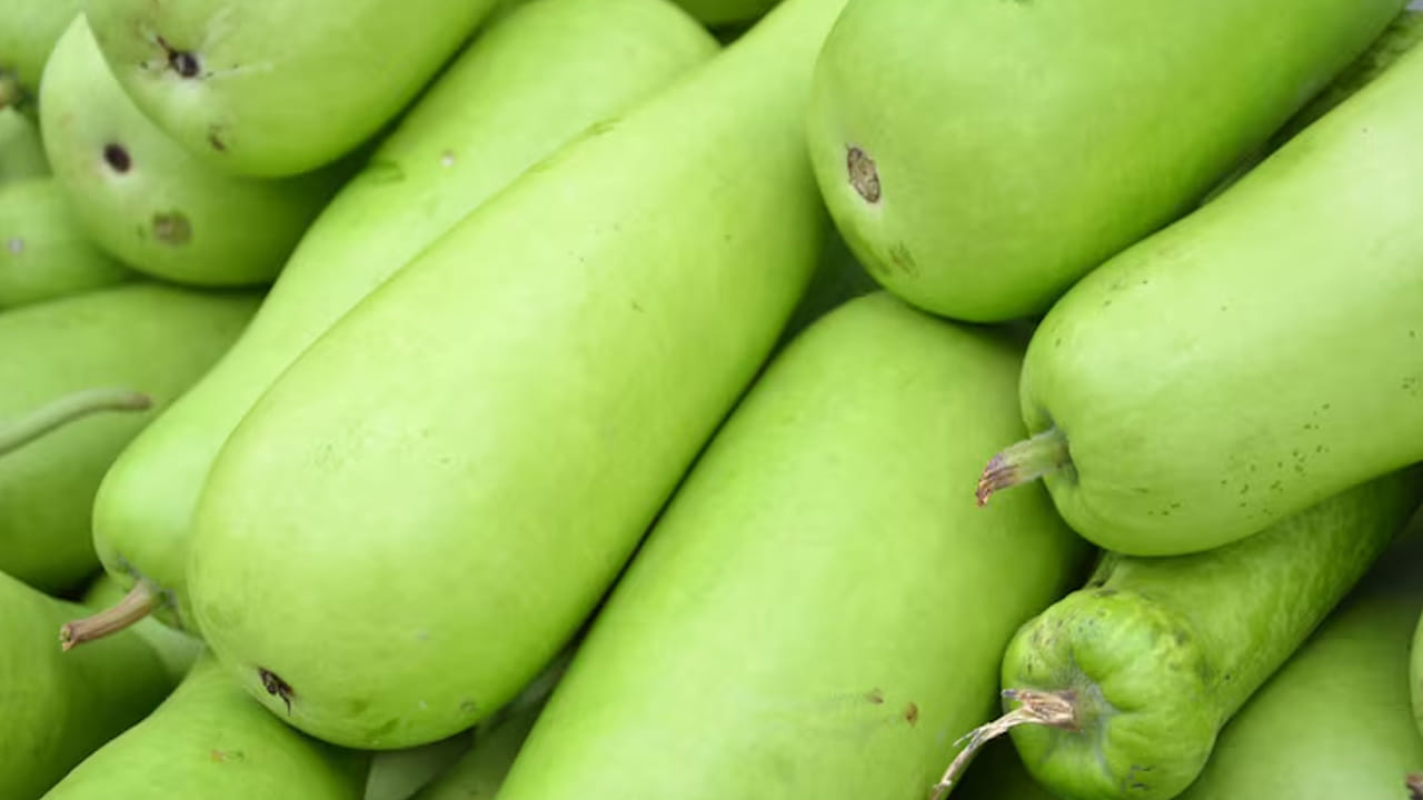 మధుమేహంతో బాధపడేవారికి సొరకాయ రసం ఎంతో మేలు చేస్తుంది. ఇది రక్తంలోని చక్కెర స్థాయిలను అదుపులో ఉంచడంలో సహాయపడుతుంది. సొరకాయలో ఉండే ఫైబర్ జీర్ణవ్యవస్థను శుభ్రపరుస్తుంది. మలబద్ధకం, అసిడిటీ, గ్యాస్ వంటి సమస్యలను నివారిస్తుంది. అలాగే, ఇది శరీరంలోని చెడు కొలెస్ట్రాల్‌ను తగ్గించి, రక్తపోటును (Blood Pressure) నియంత్రణలో ఉంచుతుంది. తద్వారా గుండె జబ్బుల ప్రమాదం తగ్గుతుంది.