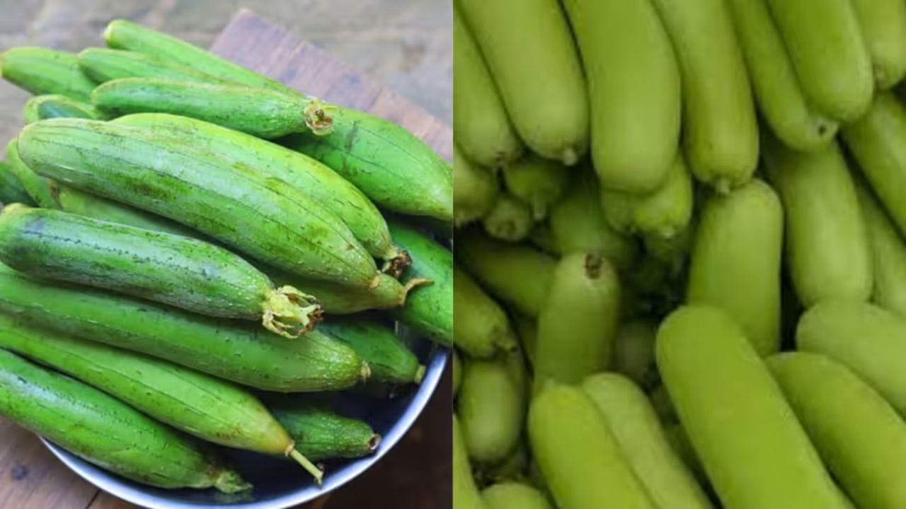 కాబట్టి వేసవిలో సొరకాయ, బీరకాయ, దోసకాయ వంటి నీటి శాతం ఎక్కువగా ఉండే కూరగాయలకు ప్రాధాన్యత ఇవ్వడం ఆరోగ్యానికి చాలా మంచిది. ఎందుకంటే ఇవి బాడీలో నీటిశాతాన్ని పెంచి శరీరాన్ని హైడ్రెడ్‌గా ఉంచుతాయి. ( Note: పైన పేర్కొన్న అంశాలు ఇంటర్నెట్ నుంచి సేకరించిన సమాచారం మేరకు అందించబడినవి.. వీటిని TV9 దృవీకరించడం లేదు. వీటిపై మీకేవైనా సందేహాలు ఉంటే  నిపుణులను సంప్రదించండి.