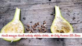 గుండె జబ్బుల నుండి బరువు తగ్గడం వరకు.. ఈ చిన్న గింజలు చేసే మేలు
