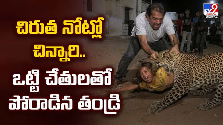 చిరుత నోట్లో చిన్నారి.. ఒట్టి చేతులతో పోరాడిన తండ్రి చిరుత నోట్లో చిన్నారి.. ఒట్టి చేతులతో పోరాడిన తండ్రి