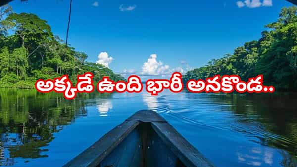 Viral Video: ఓరీ దేవుడో.. తెలియక ఆ నది ఒడ్డుకు వెళ్లారంటే ఖతమే..! అమాంతం దూకేసే అనకొండలు ఉంటాయ్..