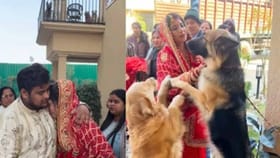 విశ్వాసం అంటే ఇదే.. పెళ్లి వీడ్కోలులో భావోద్వేగ క్షణం!